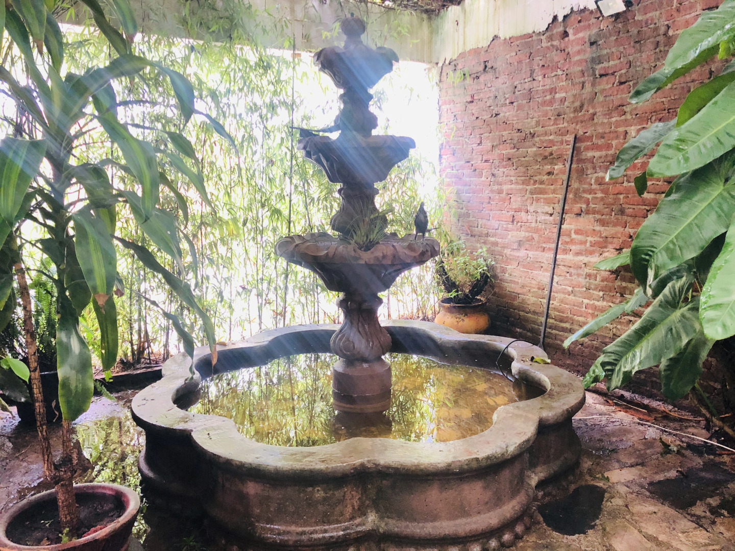 Отель El Capricho Rotamundos