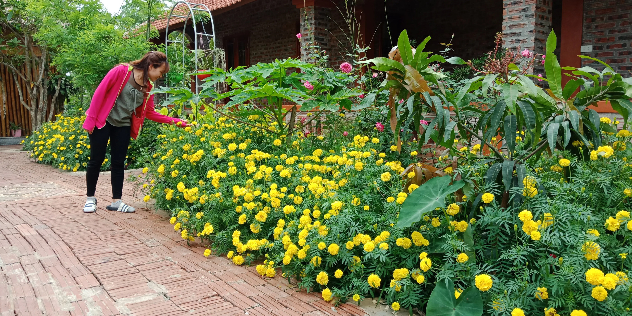 Отель Ninh Binh Eco Garden