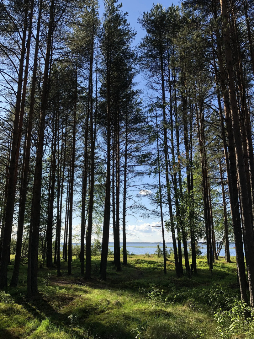 Гостевой дом переулок Дачный Сяпся