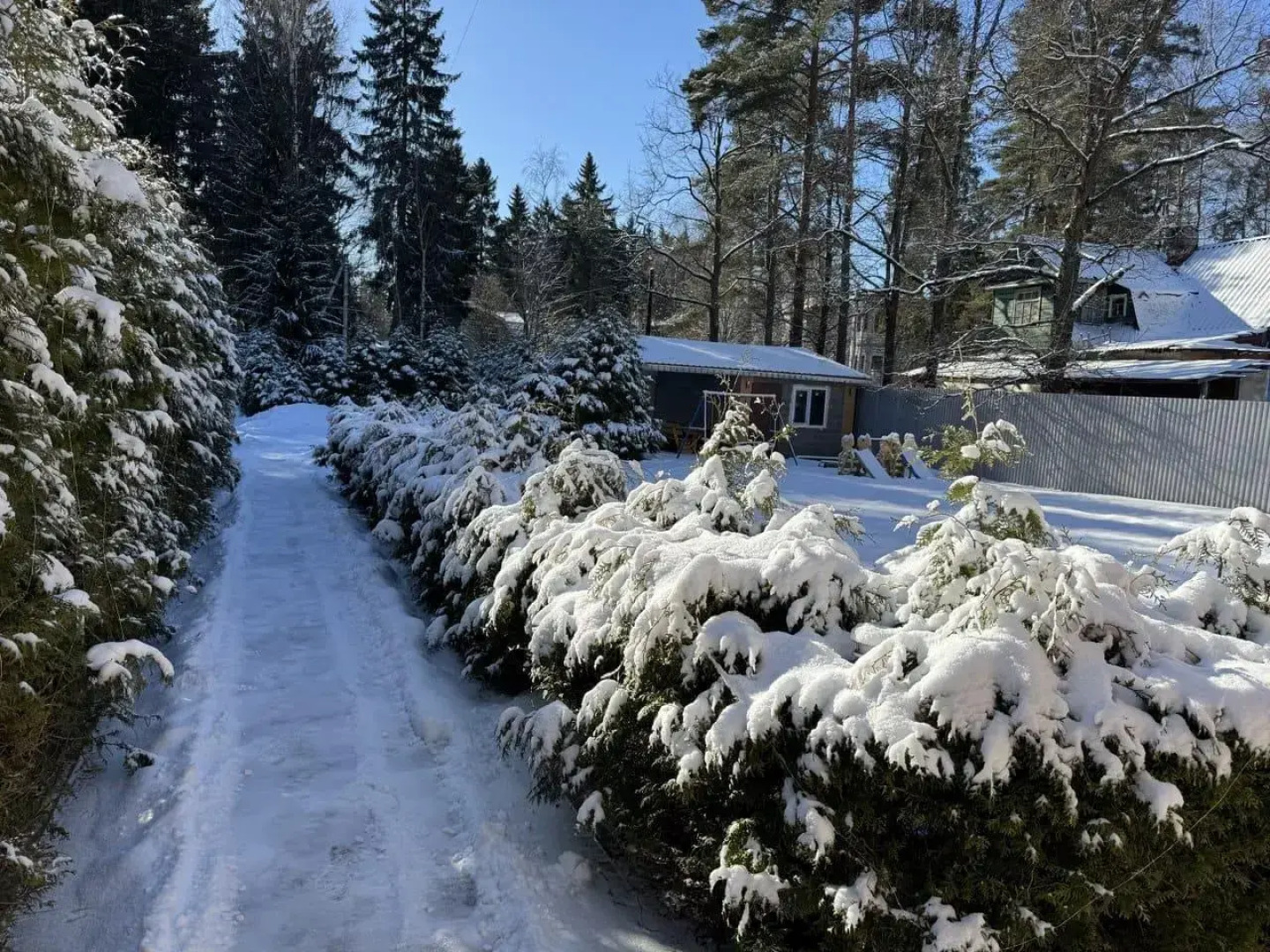 Частный дом на Фонвизина