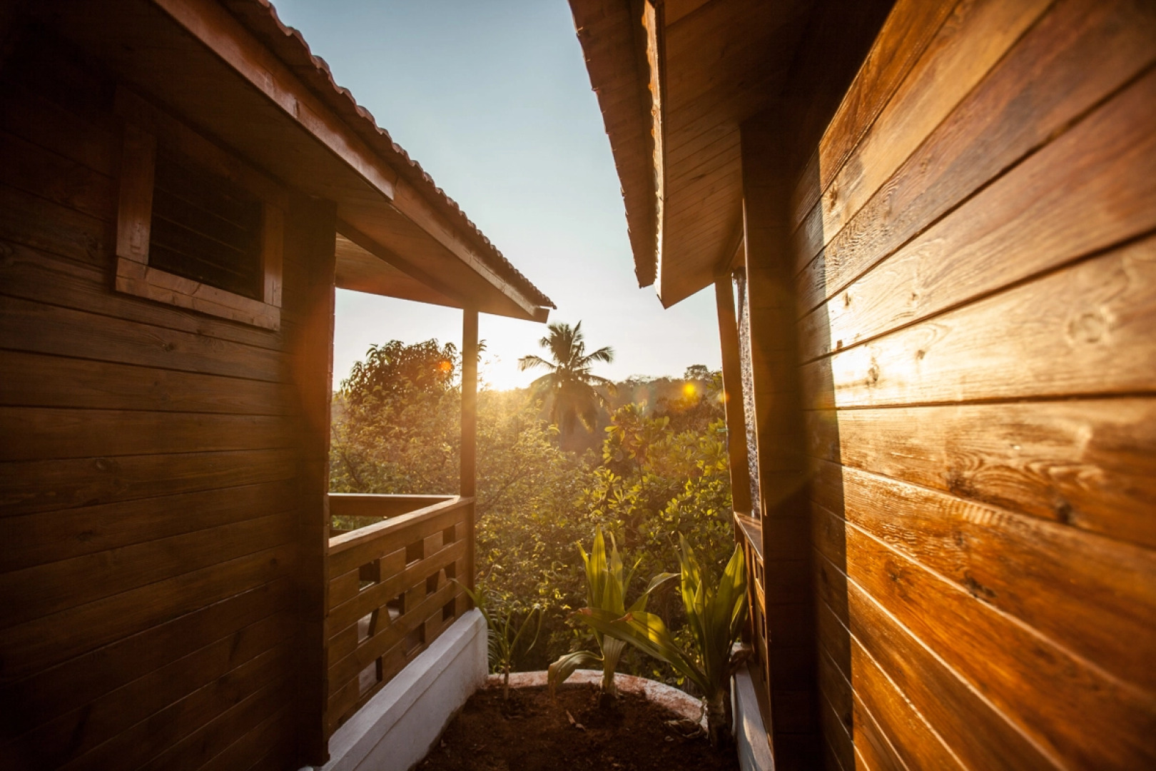 Отель Blue Planet Wellness