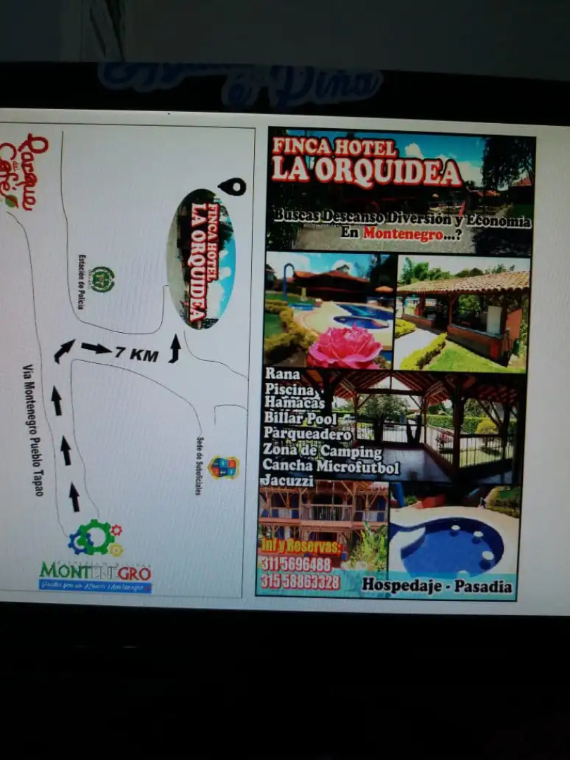 Отель Finca la Orquidea