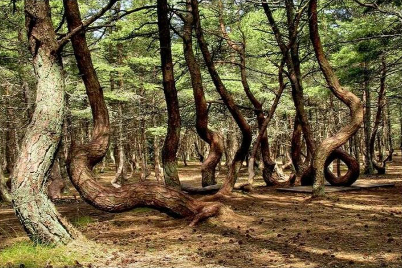 Квартира Большая Окружная 2Б/1