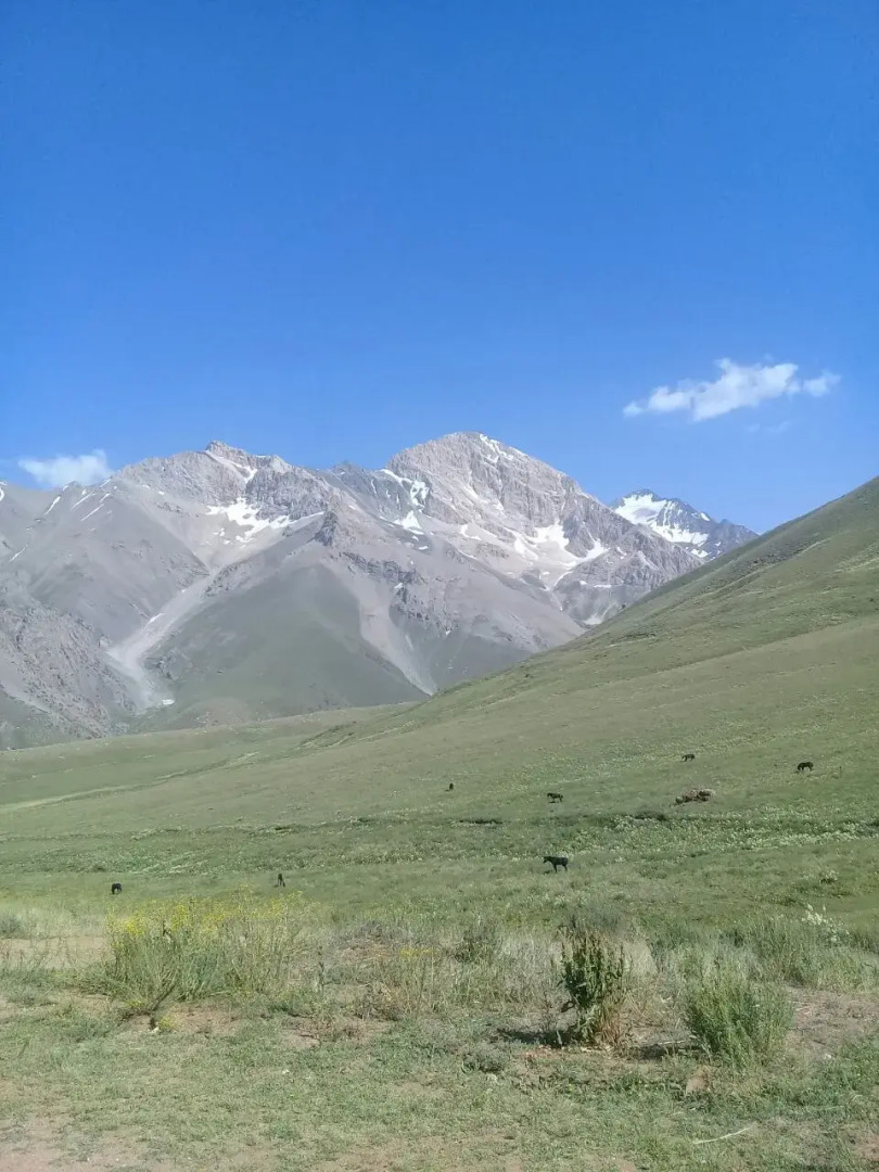 Хостел Kitob Sayyoh