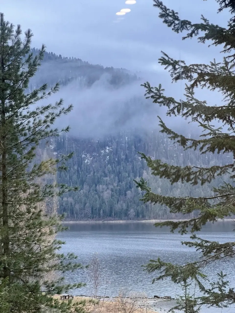 База отдыха Телецкое Золотое