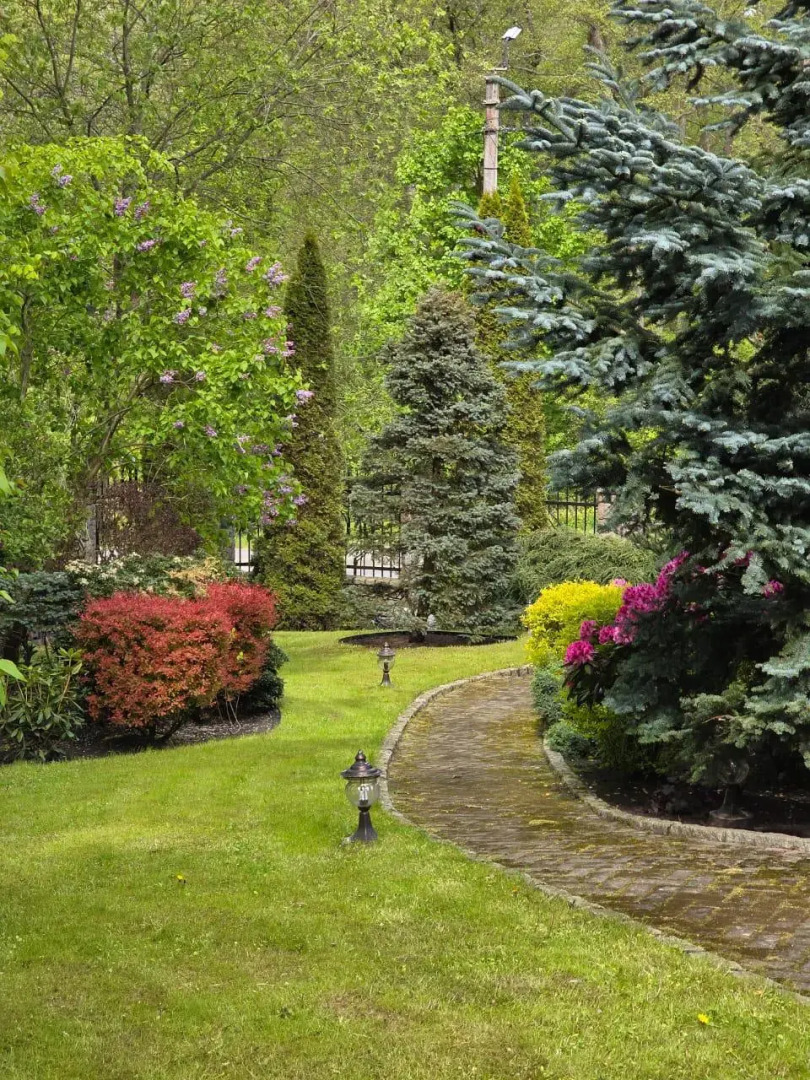 Вилла Вишня