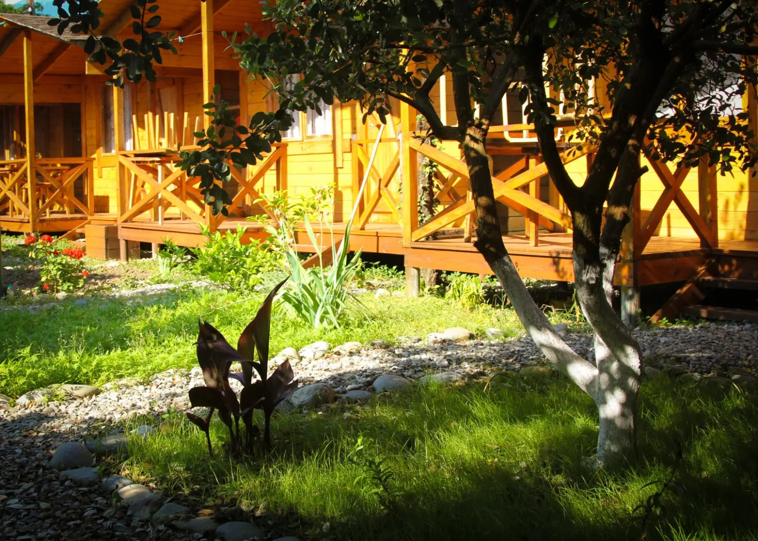 База отдыха Теремки