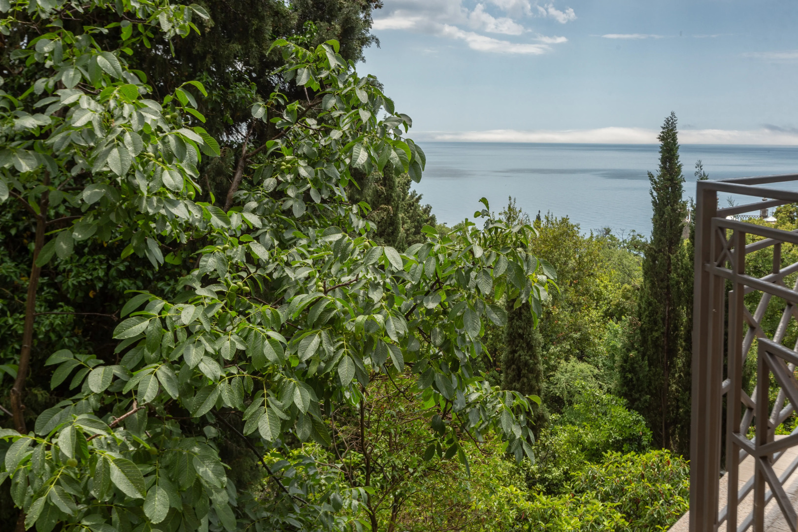 Отель Камелия