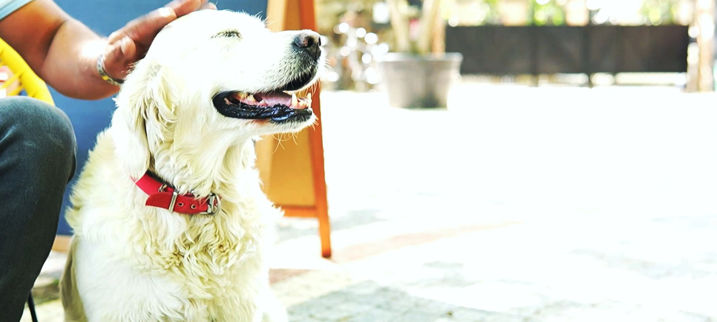 Бутик-отель Manastırhan Kazdağları Butik-Hotel