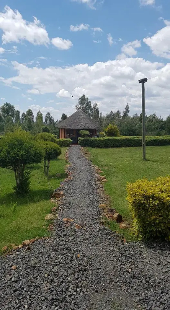 Отель The Great Circle Lodge