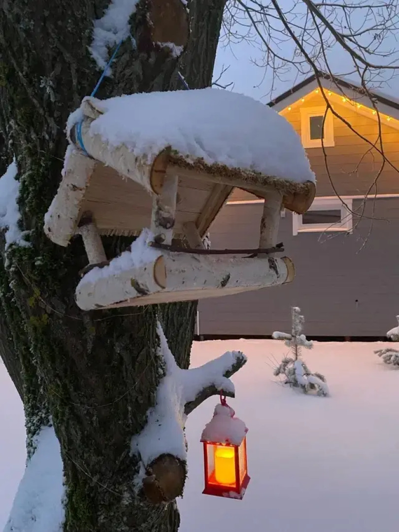 Шале Тибет в Коробицыно