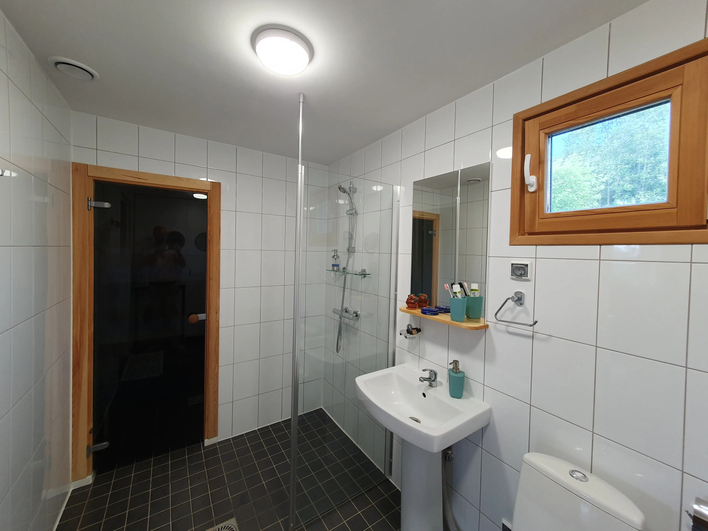 Коттедж Онегин