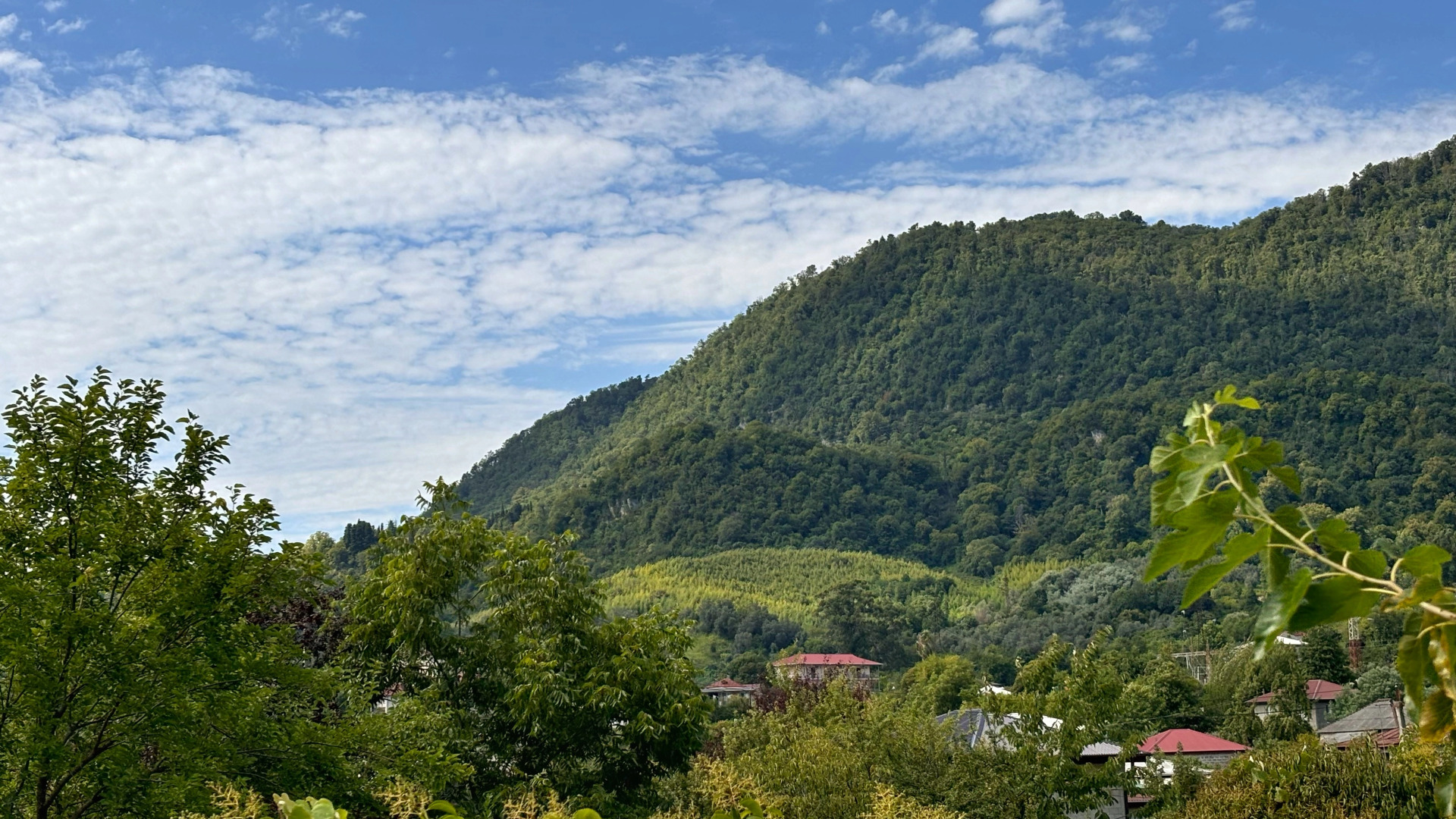 Частный дом Агава