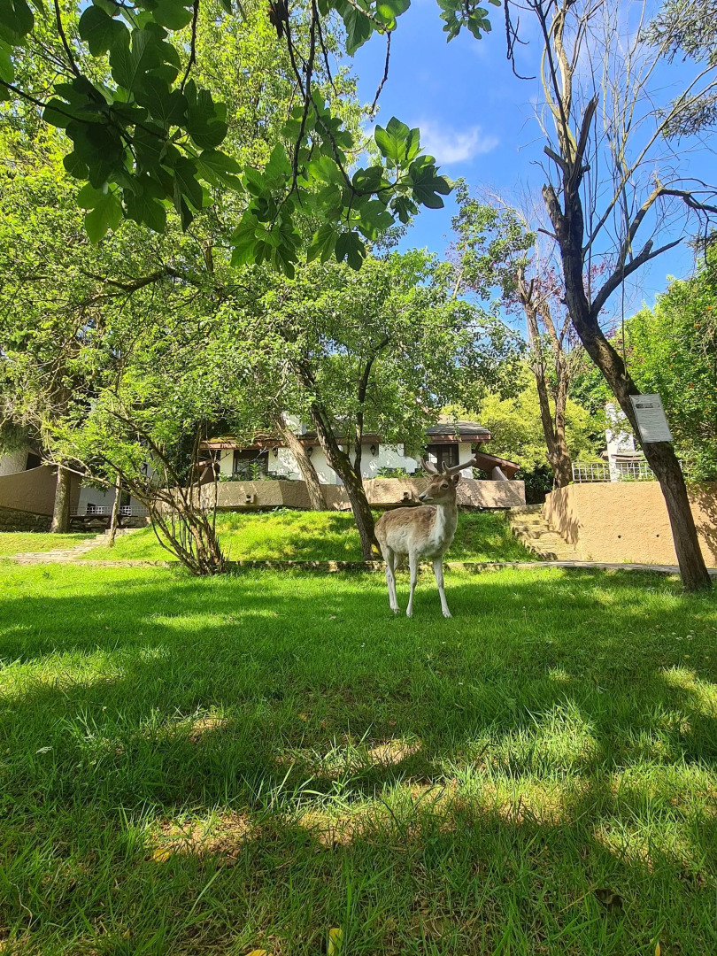 Polonezköy Country Club & Accommodation in the Wildlife Park