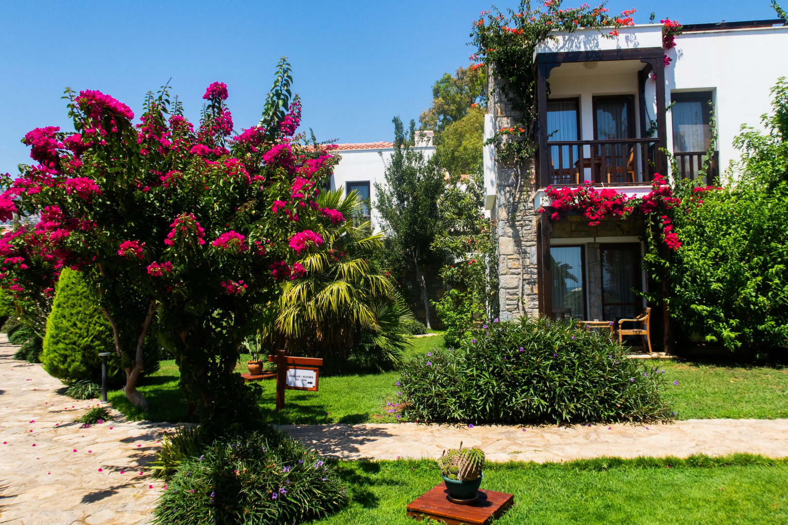 Отель Datca Doris