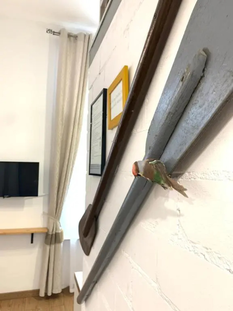 Апартаменты Live in Karelia на Федосовой 27