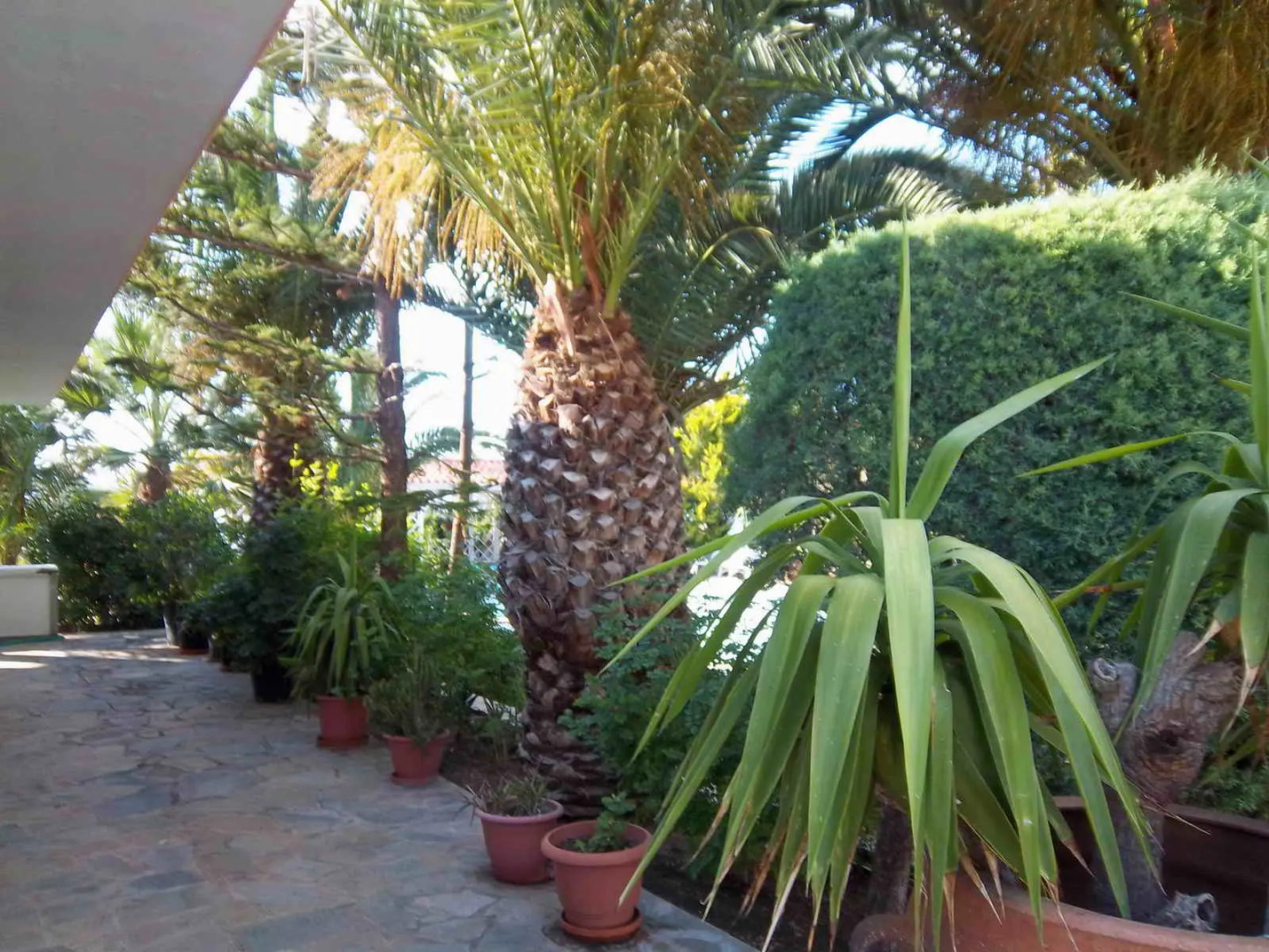 Вилла Alepokhori Beach stunning