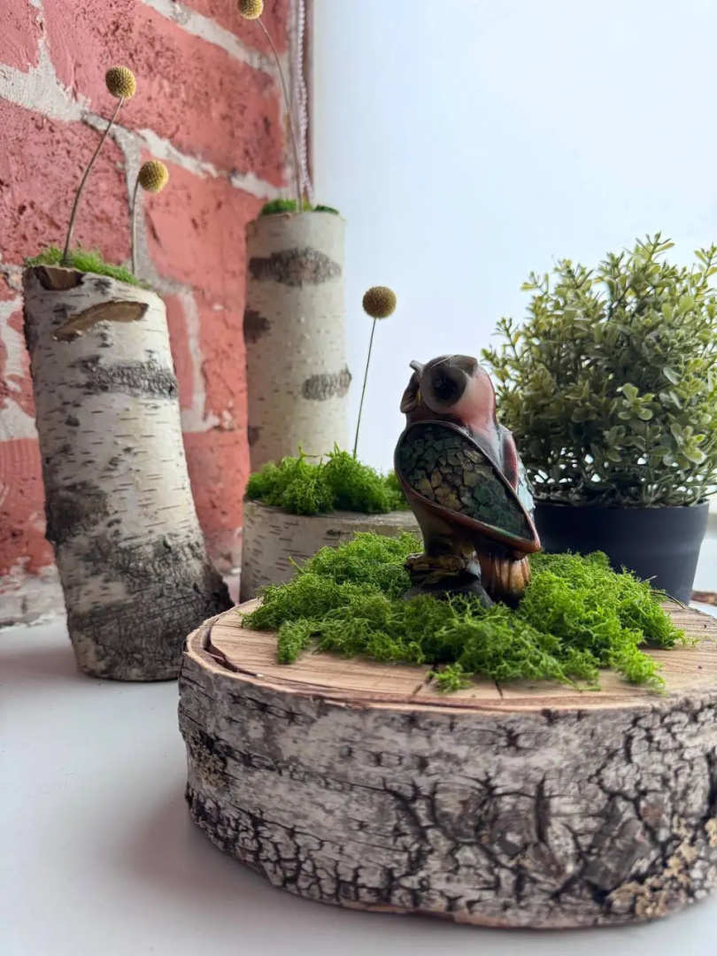 Апартаменты Лофт Forest Sigh у Метро Электрозаводская