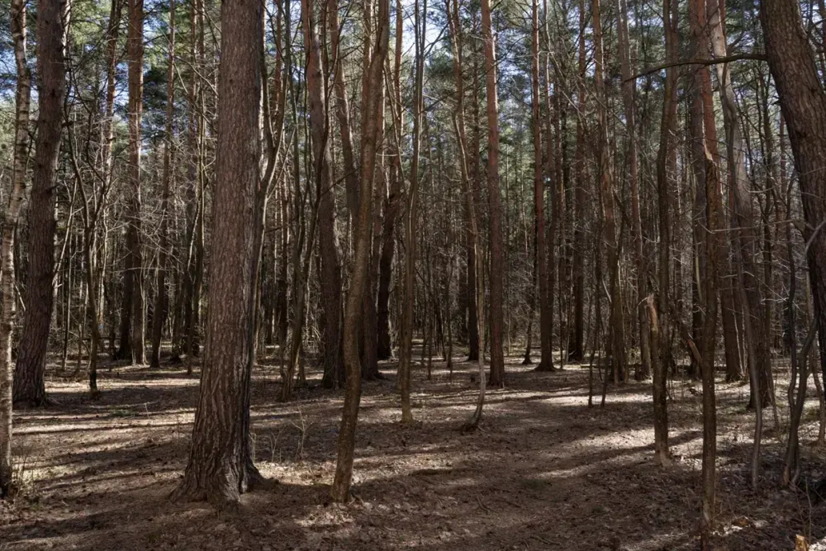 Апартаменты Тайна Голубого Океана в Нахабино - Mari'Nochka