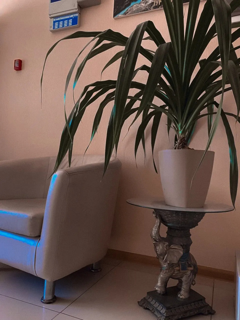 Гостевой дом Classic