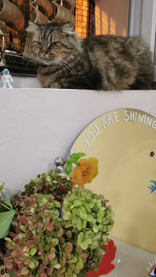 Хостел Harmony