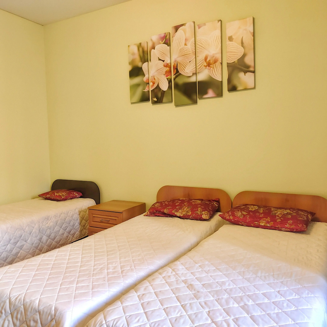 Апартаменты от Людмилы (Революции 1905 года)