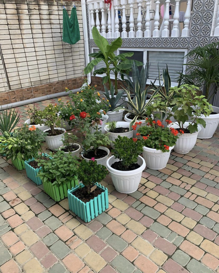 Гостевой дом Лидия