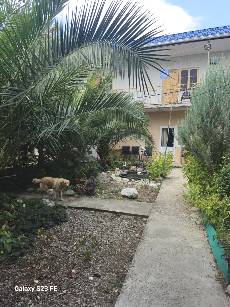 Гостевой Дом Две Пальмы