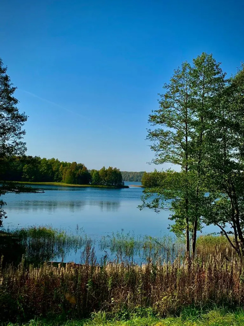 Бунгало Изба у Дуба.Хутор Ишково
