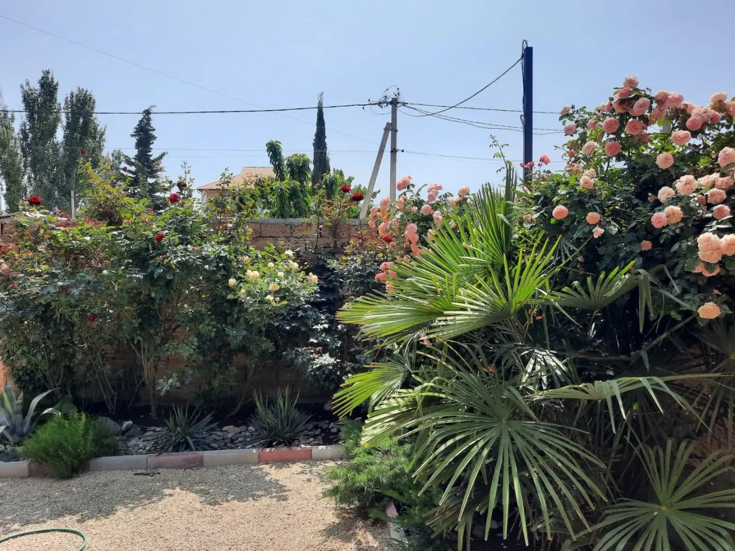 Жилое помещение Гавайи