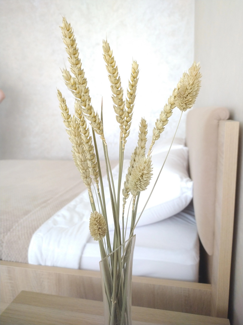 Апартаменты Четыре сезона