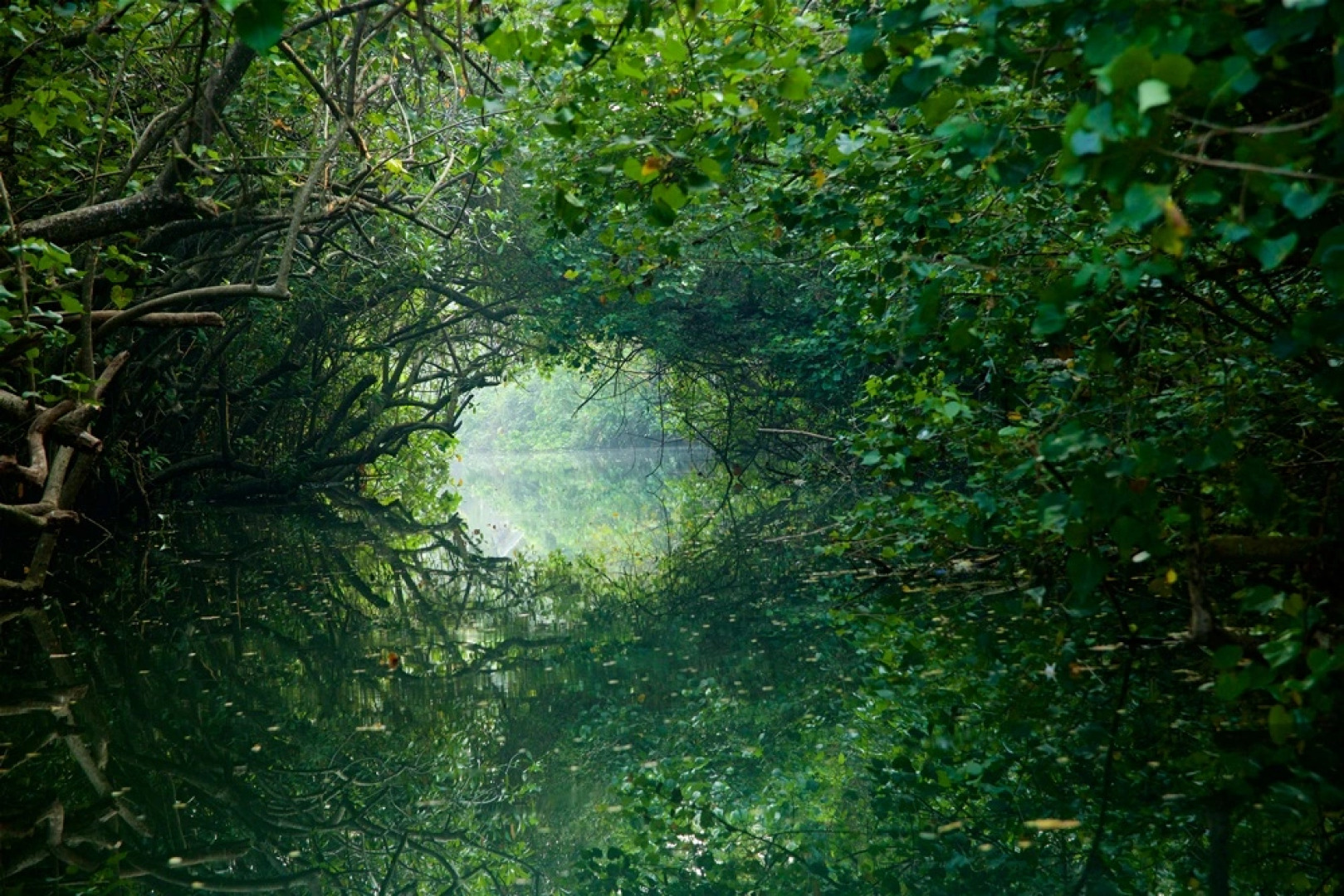 Отель Poovar Island Resort