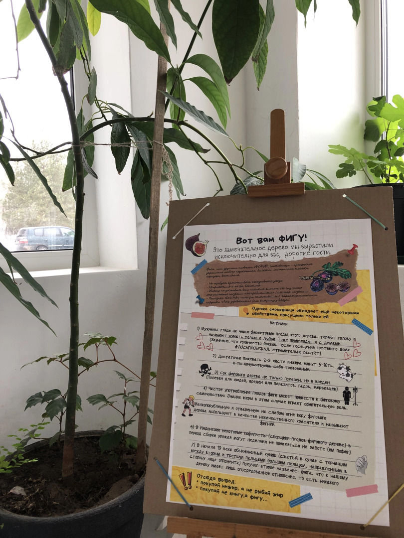 Гостевой Дом Лось Пробежал