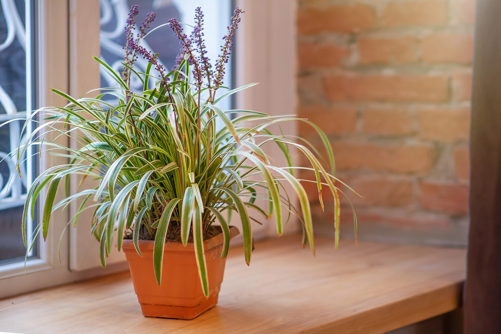 Апартаменты HB apartments Beridze II