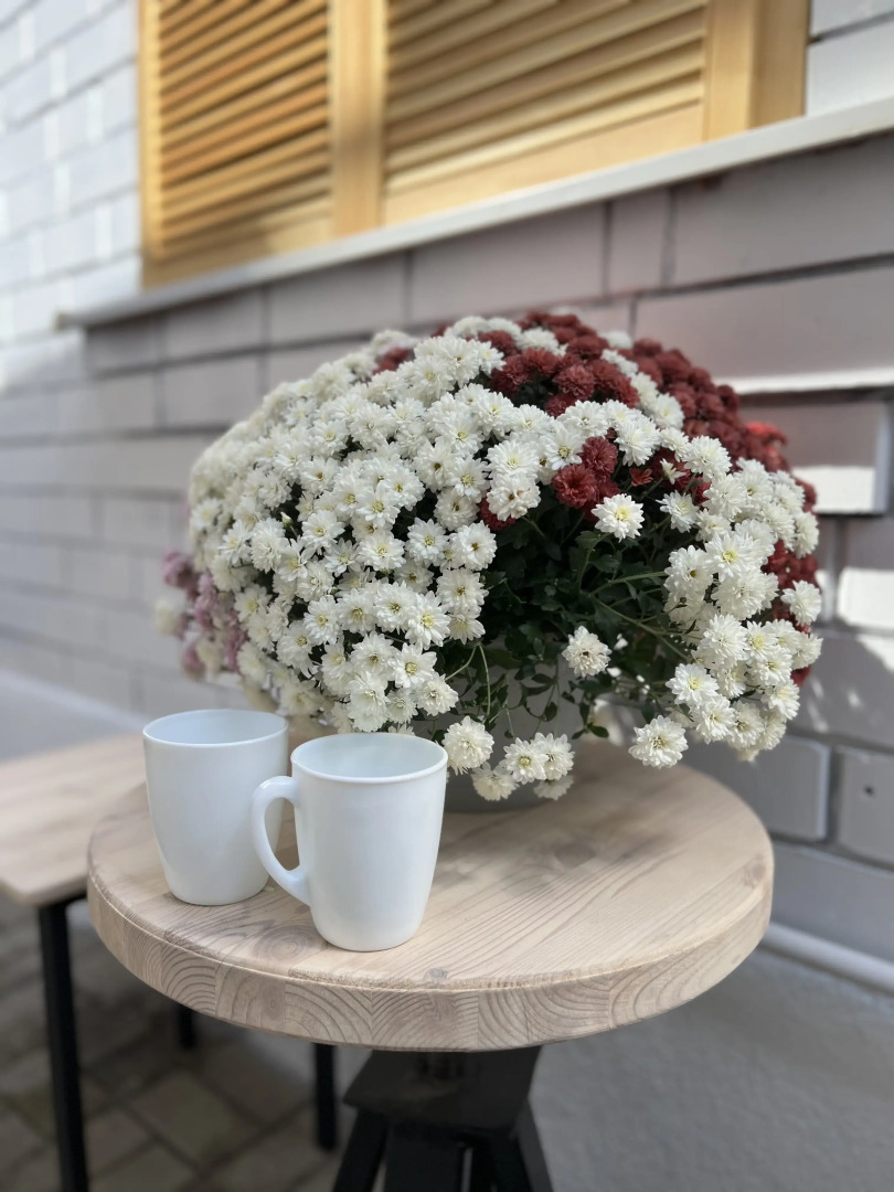 Апартаменты Solar с двориком для курения, пр. Калинина 38 (2)