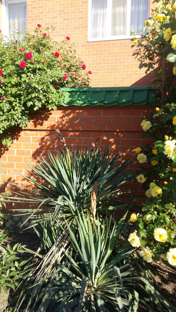 Частный дом на Крутой