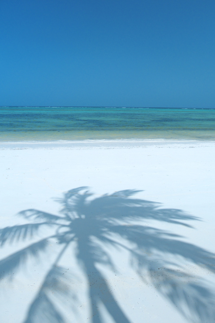 Отель The Palms Zanzibar All Inclusive