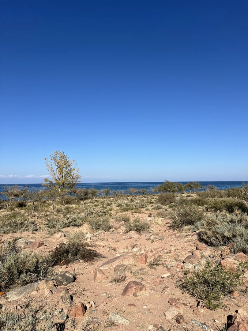 Глэмпинг Oimo Tash Yurt Camp