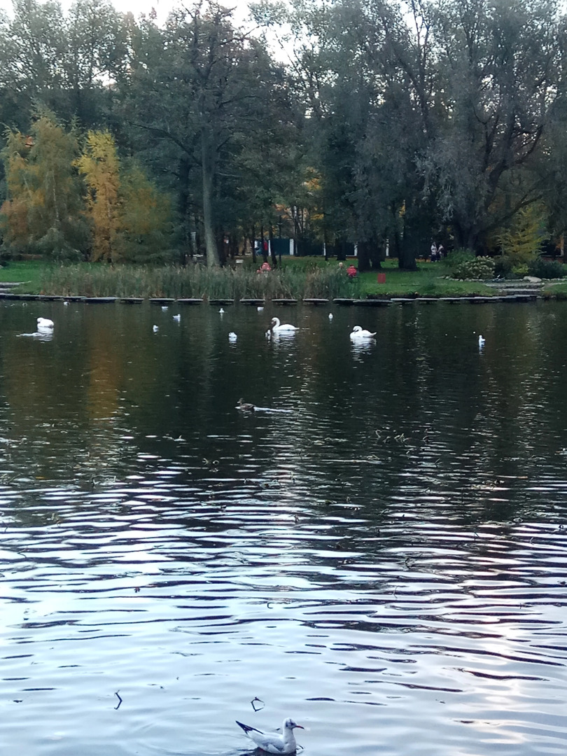 Квартира 2-х комнатная квартира с отдельным входом