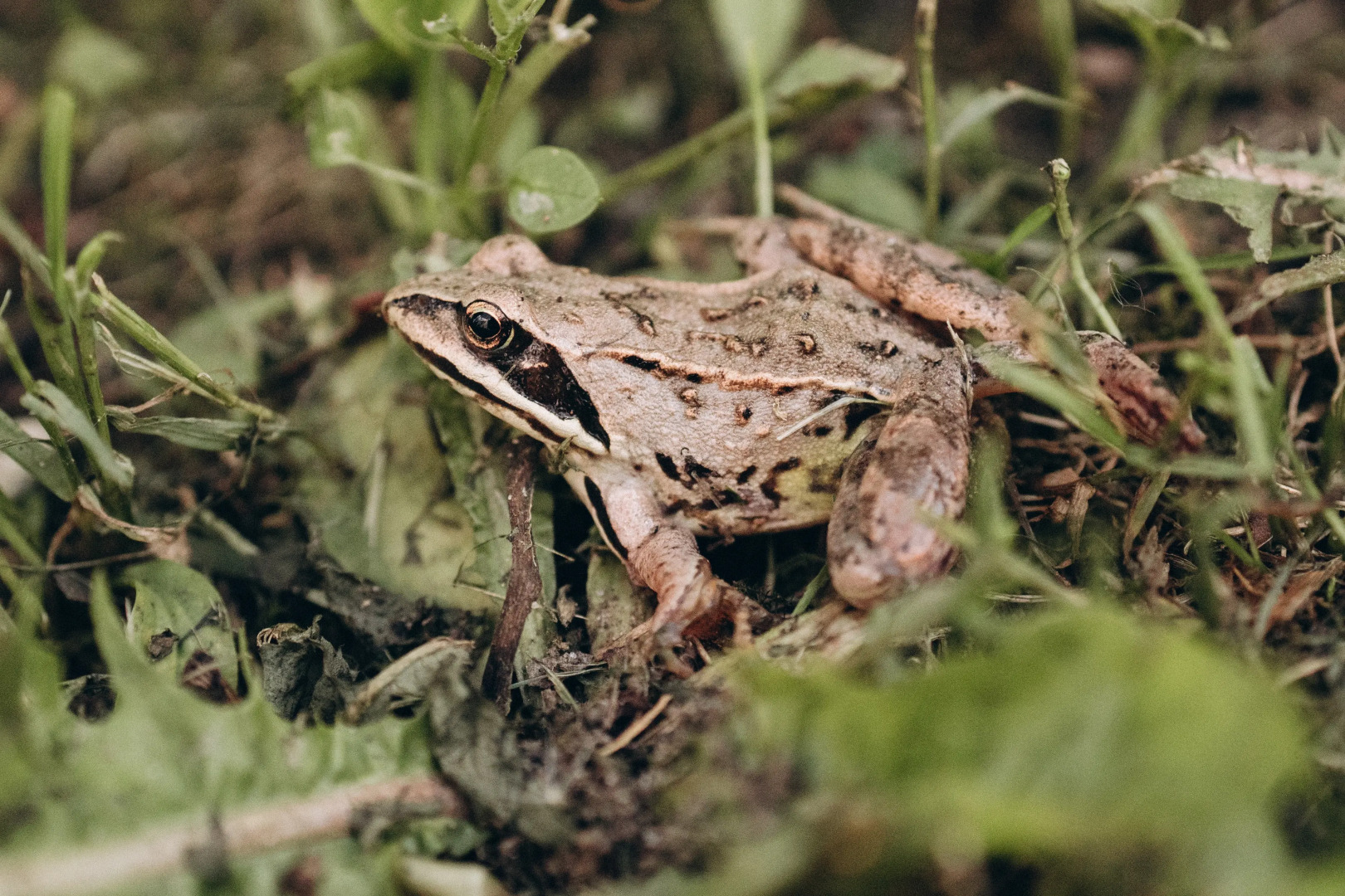 Гостевой дом Кевда