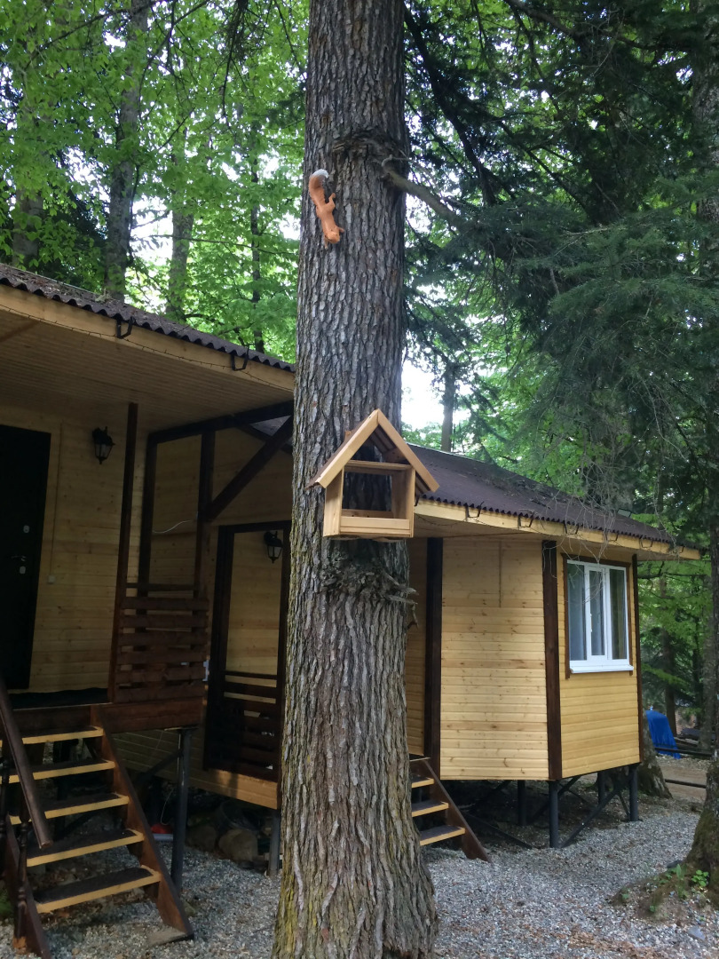 База отдыха В гостях у сказки