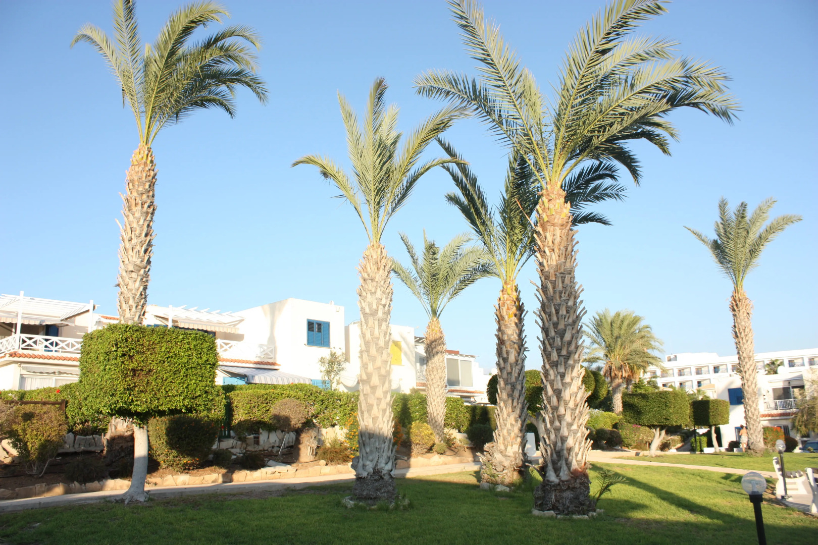 Апартаменты Green Oasis Beach