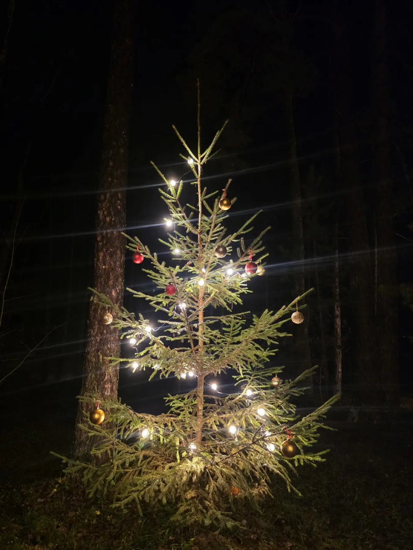 База отдыха Вейкпарк Волма