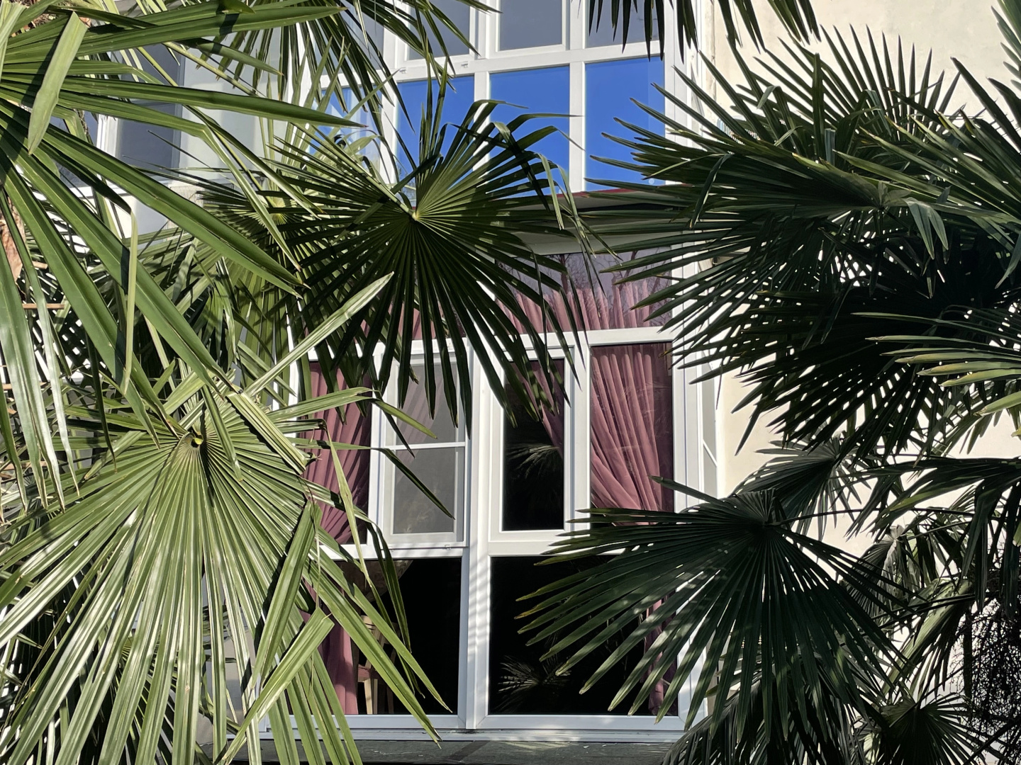 Апартаменты PalmRoom