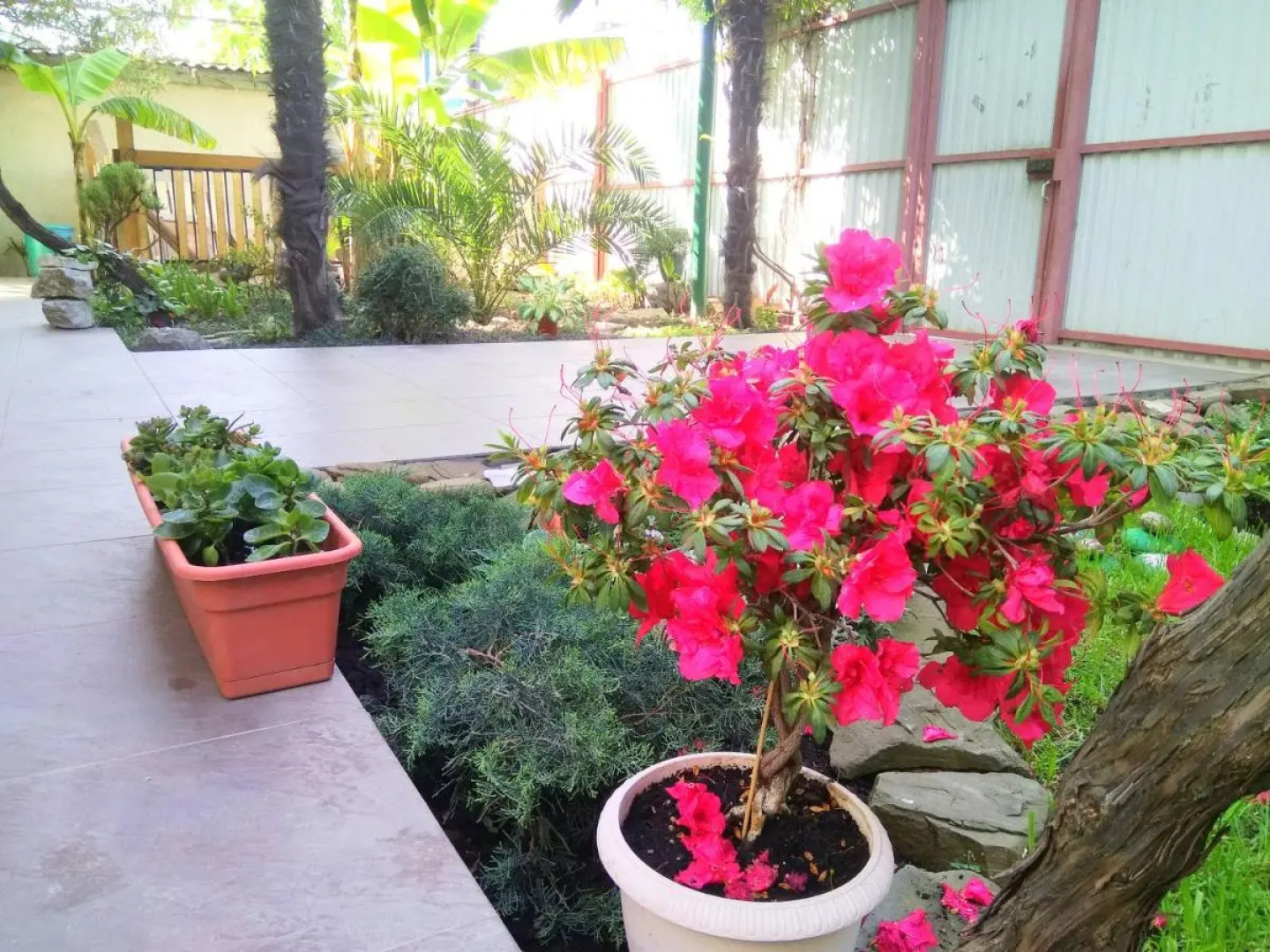 Гостевой дом Ostrov Sochi