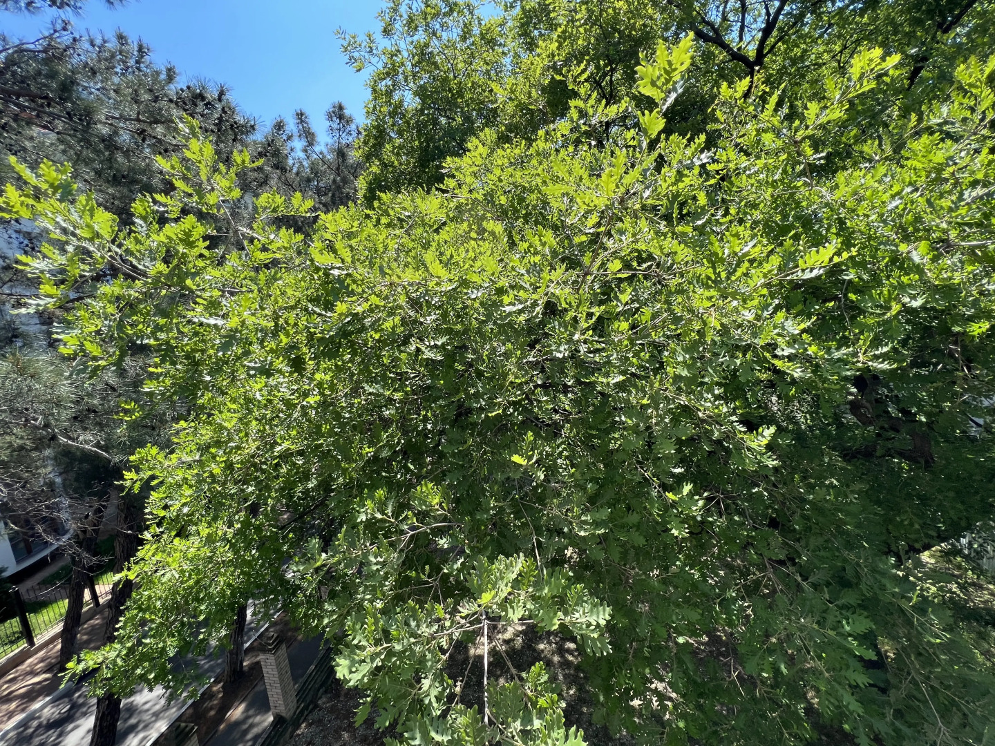 Геленджик Отель