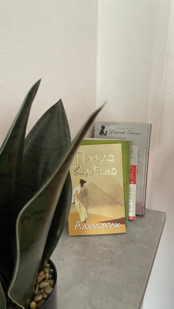 Апартаменты Ботаника