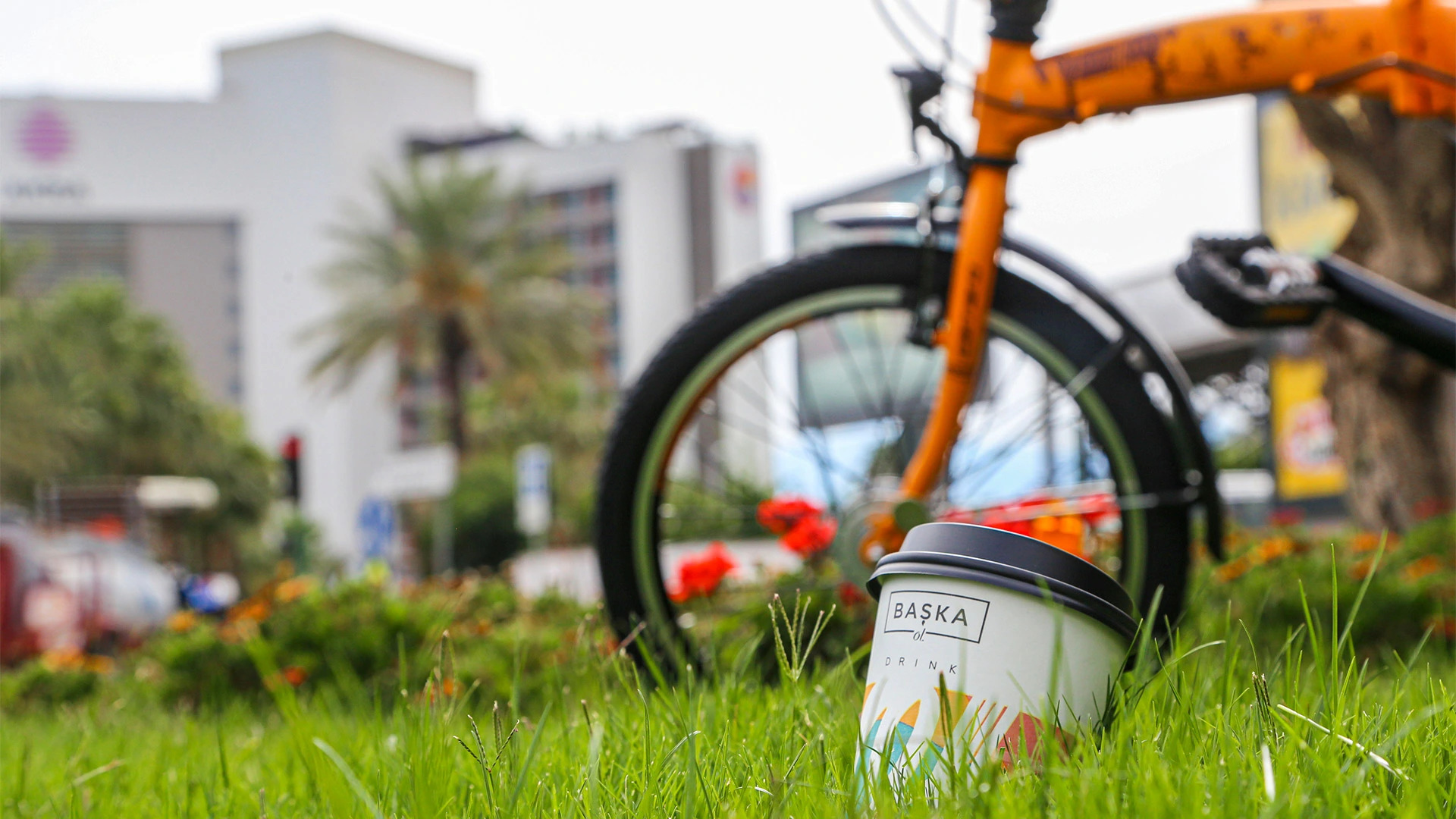 Отель Akra V - Access to Akra Antalya