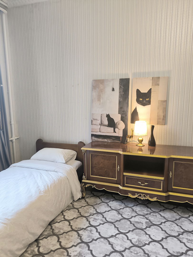 Апартаменты Центр Цирк Зыбитская Трёшка