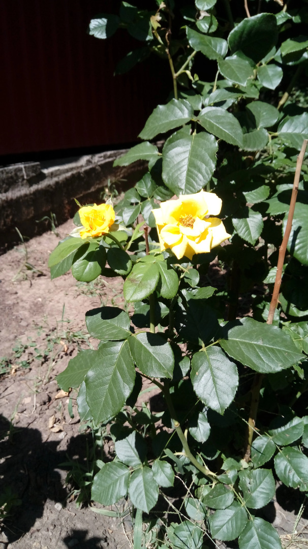 Гостевой дом на Стасова